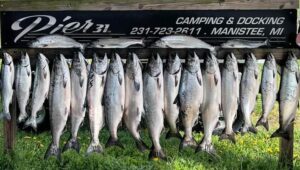 rack-of-fish-e1721594678173-300x170