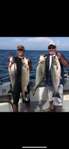 132201820_2722220971333628_5202654968017947193_n-139x300