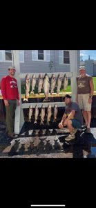 132555412_308829467111511_9201230902813092245_n-139x300